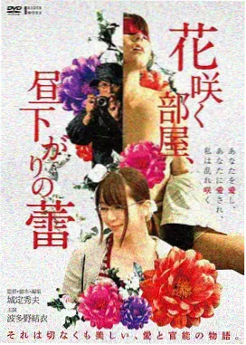 新视觉影视大全 电影热榜